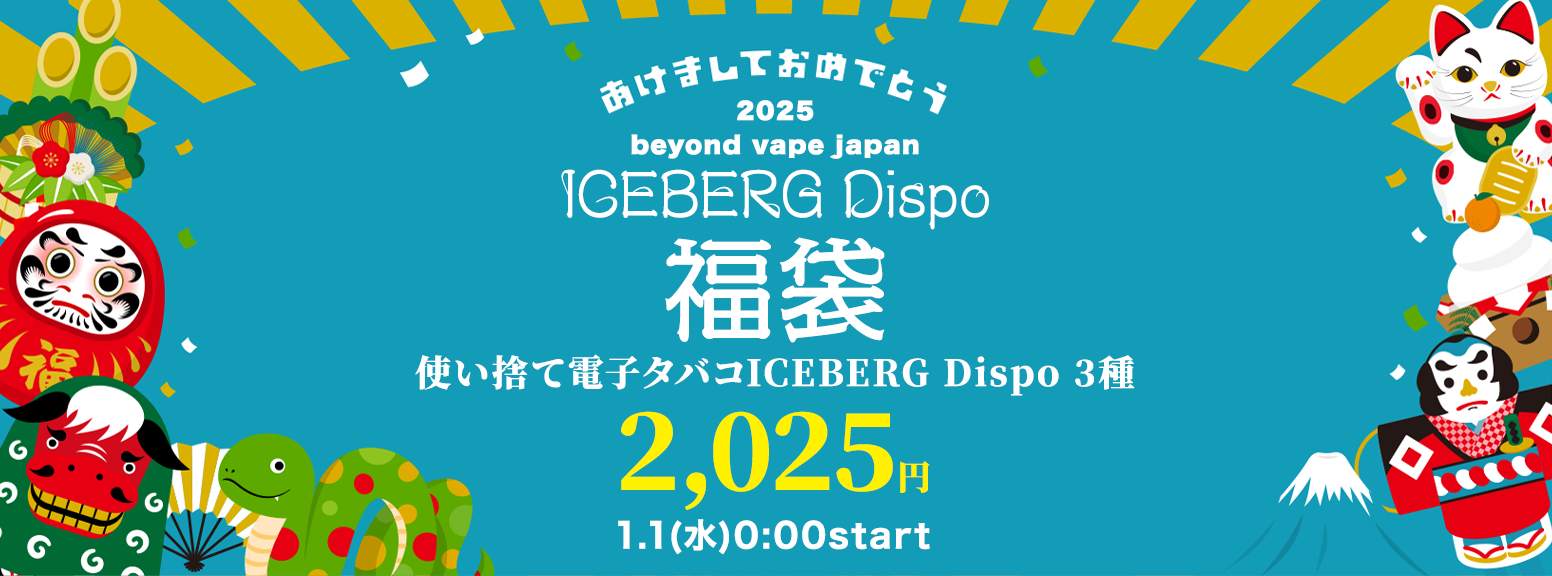 ICEBERG Dispo 福袋